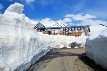 Manali - Rohtang - Snow Point